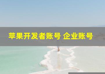 苹果开发者账号 企业账号